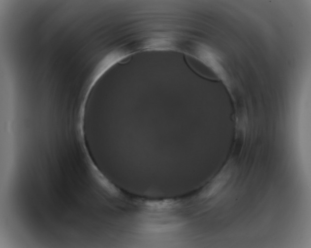 X0000088201386200705221714