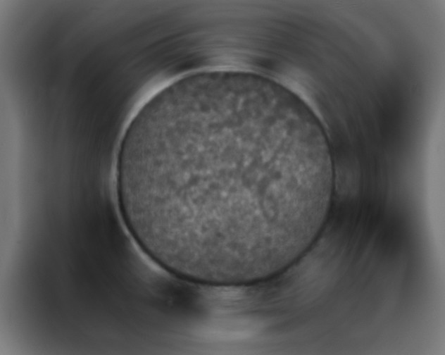 X0000088201387200705221714