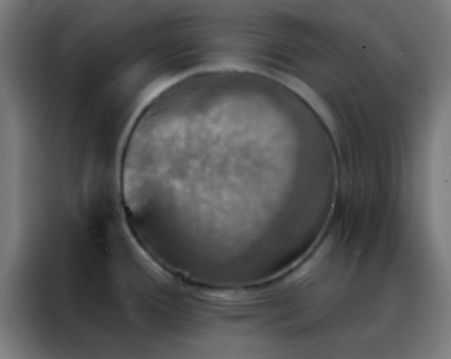 X0000088201388200705221714