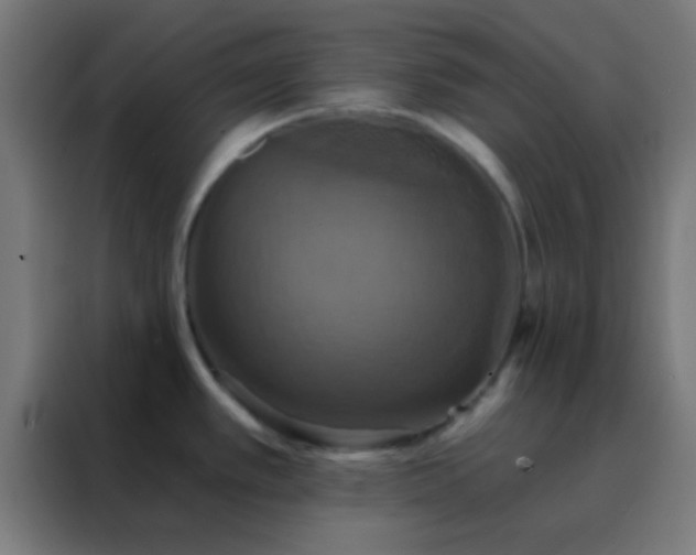X0000088201389200705221714