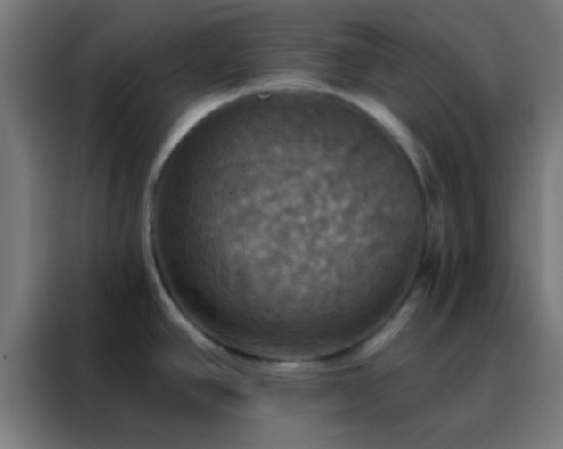 X0000088201390200705221714