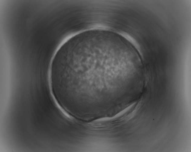 X0000088201391200705221714