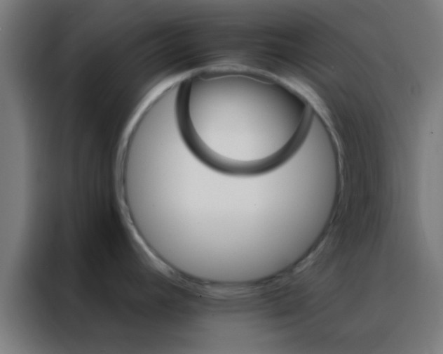 X0000088201392200705221714