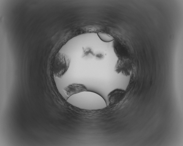 X0000088201393200705221713