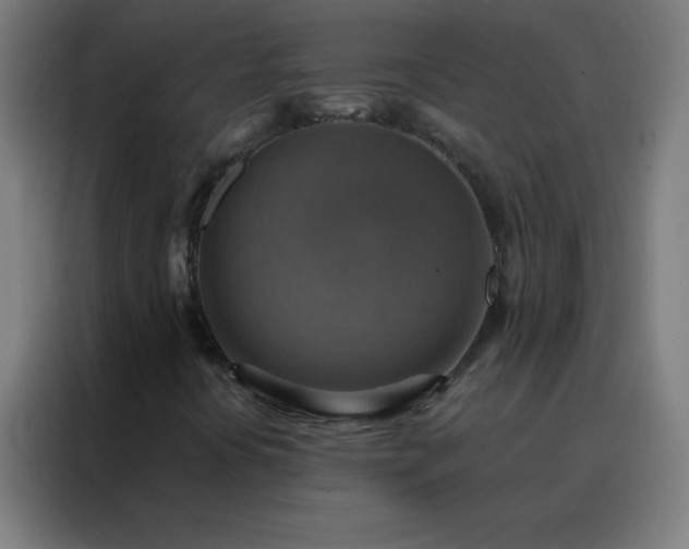 X0000088201394200705221713