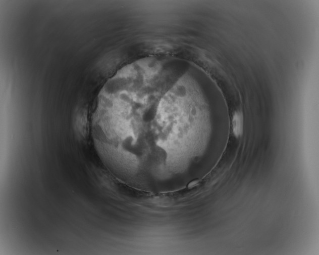 X0000088201395200705221713