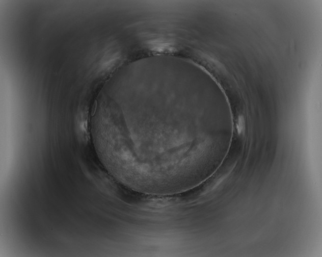 X0000088201396200705221713