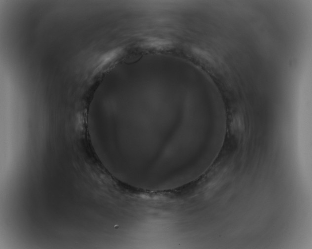 X0000088201397200705221713