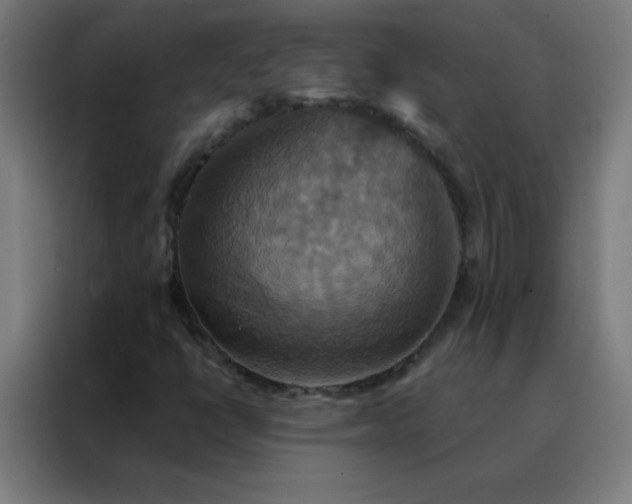 X0000088201398200705221713