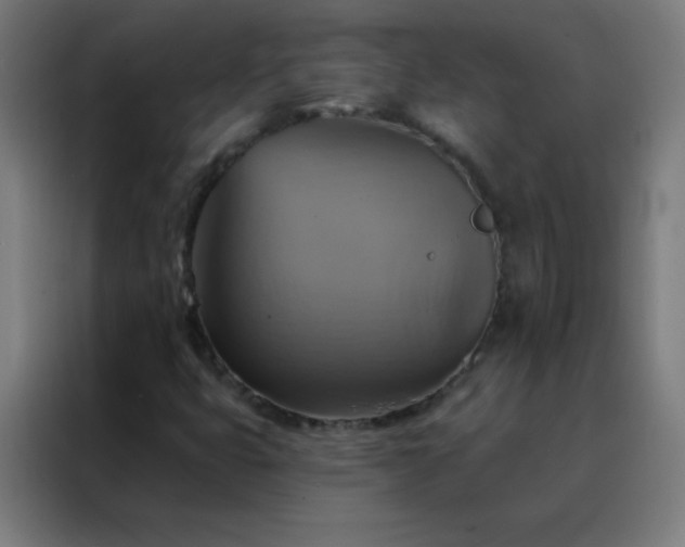 X0000088201399200705221713
