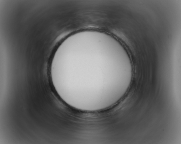 X0000088201404200705221713