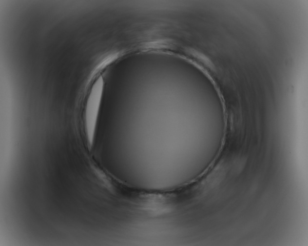 X0000088201405200705221713
