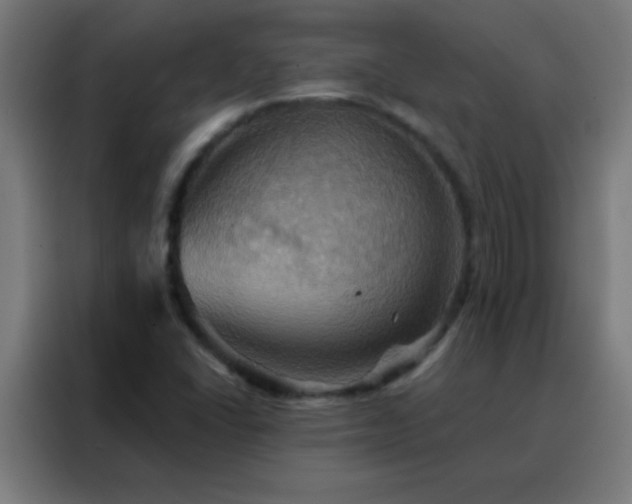 X0000088201406200705221713