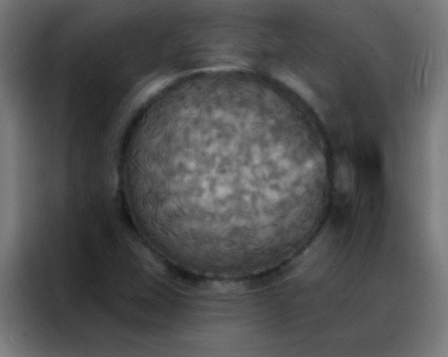 X0000088201407200705221713