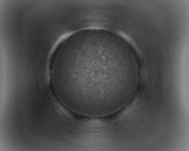X0000088201408200705221713