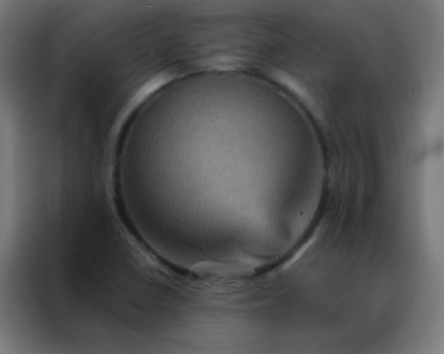 X0000088201410200705221713