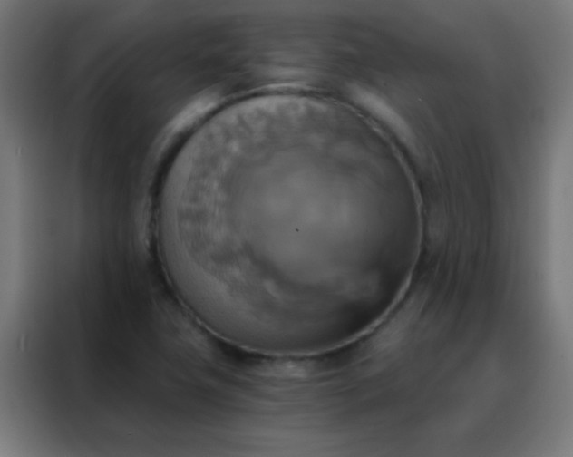 X0000088201411200705221713