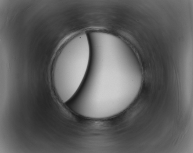 X0000088201412200705221713