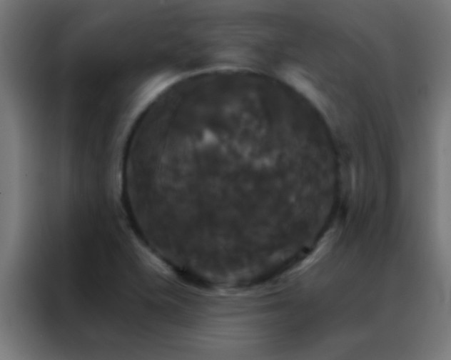 X0000088201415200705221713