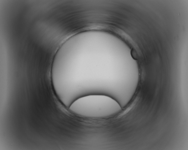 X0000088201417200705221713
