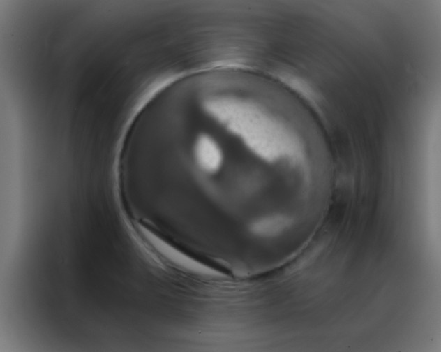 X0000088201423200705221714