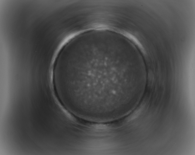 X0000088201424200705221714