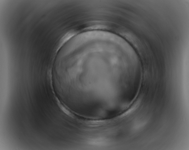 X0000088201425200705221714