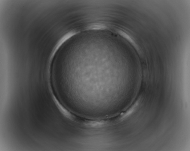 X0000088201426200705221714