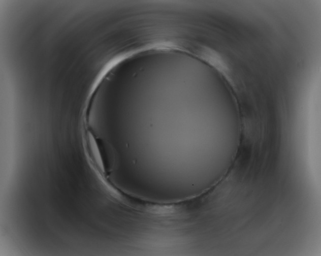 X0000088201428200705221714