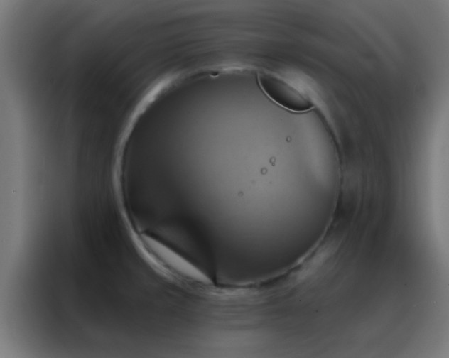 X0000088201429200705221714