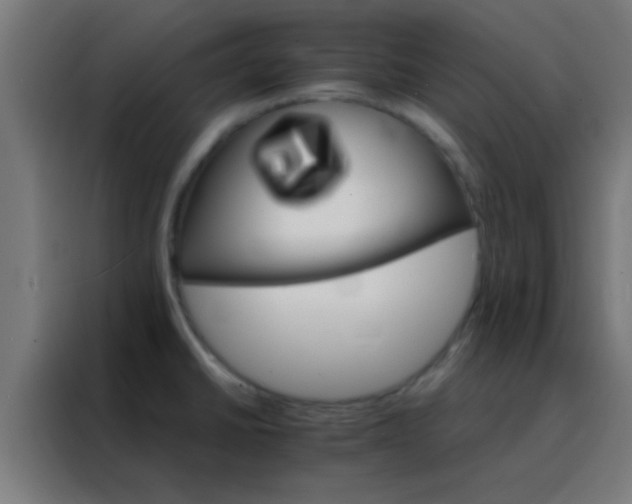 X0000088201430200705221714