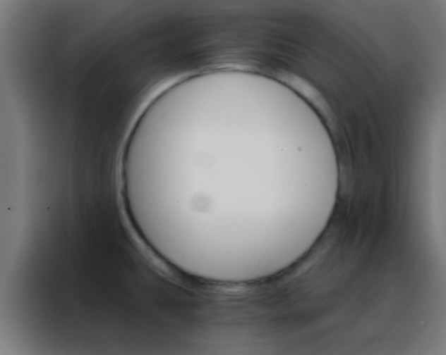 X0000088201431200705221714