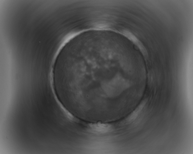 X0000088201432200705221714