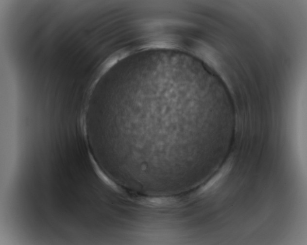 X0000088201433200705221714