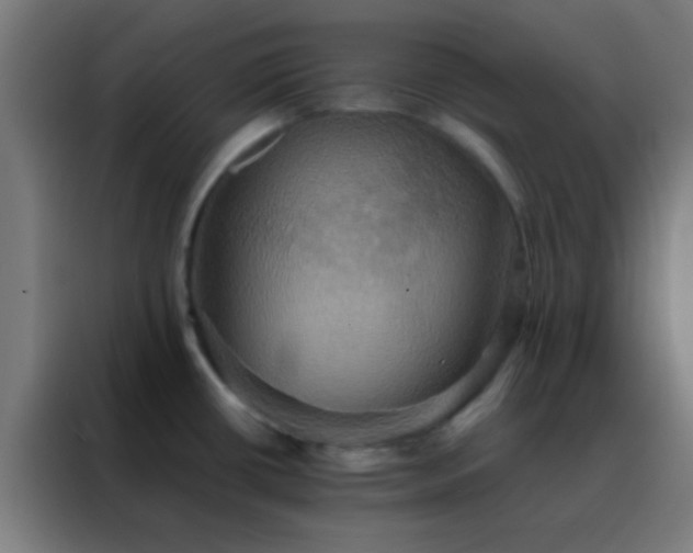 X0000088201434200705221714