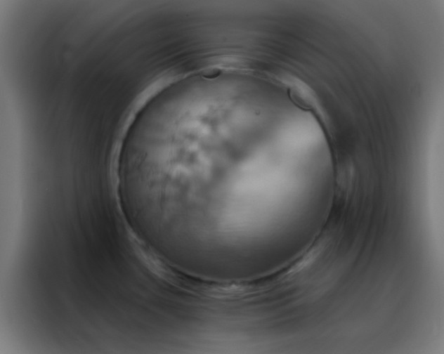 X0000088201435200705221714