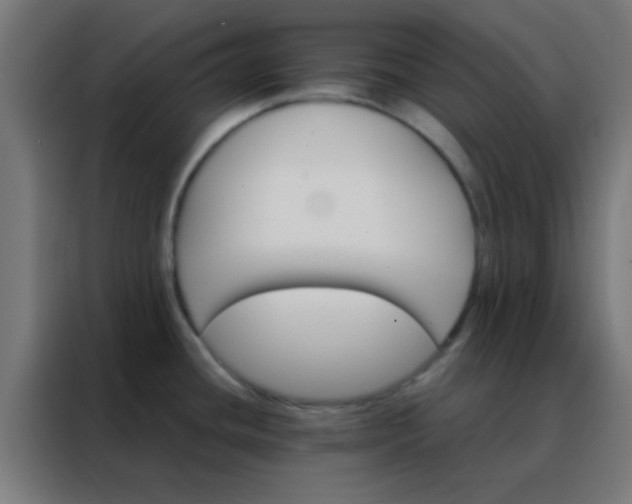 X0000088201436200705221714