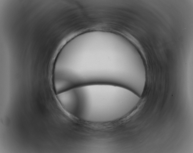 X0000088201437200705221714