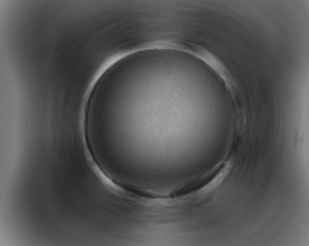 X0000088201438200705221714