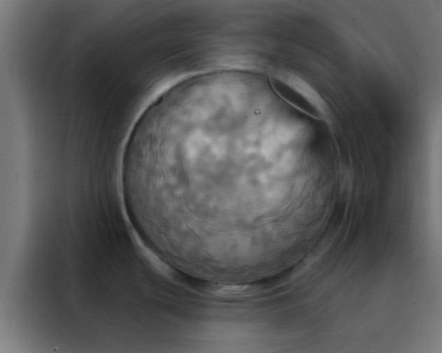 X0000088201439200705221714