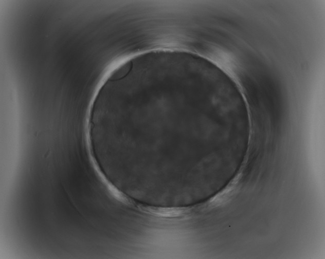 X0000088201440200705221714