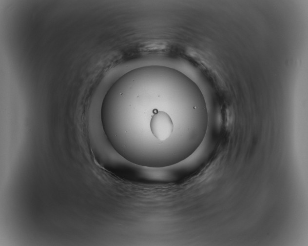 X0000088201441200705221713