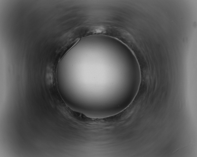 X0000088201442200705221713