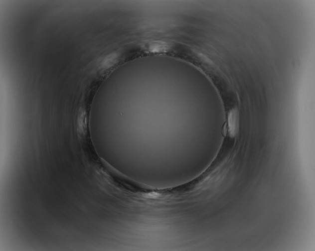 X0000088201443200705221713