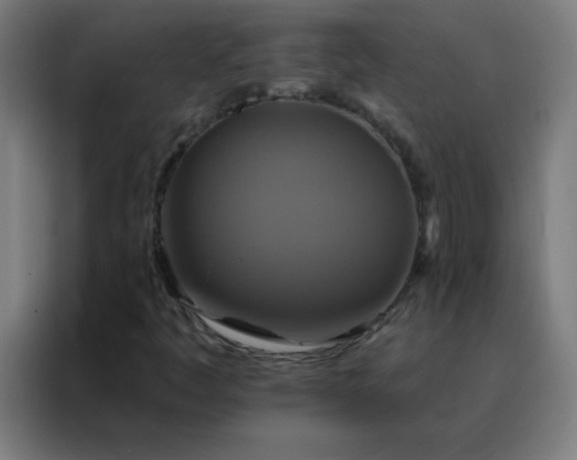 X0000088201445200705221713