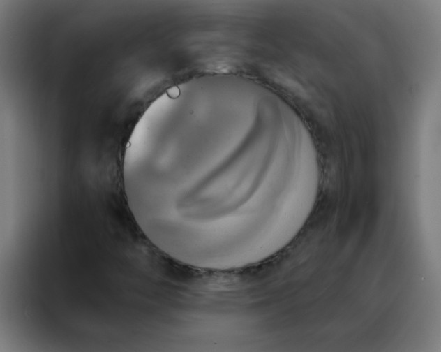 X0000088201446200705221713