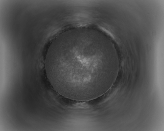 X0000088201447200705221713
