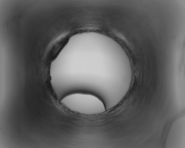 X0000088201448200705221713