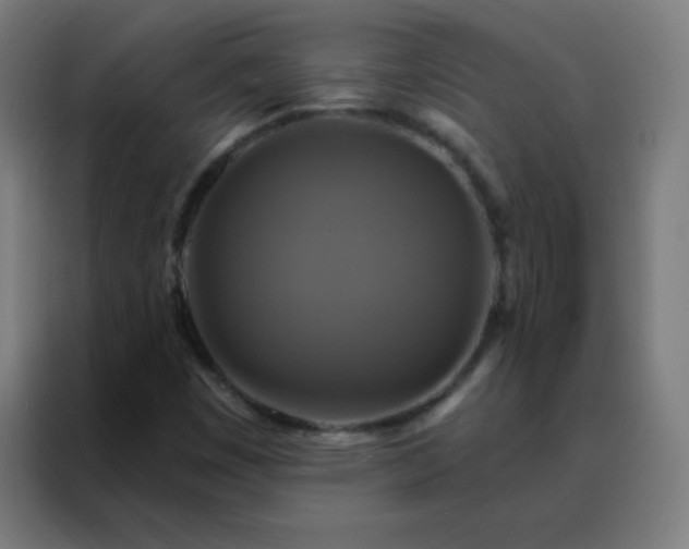 X0000088201449200705221713
