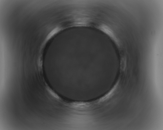 X0000088201450200705221713